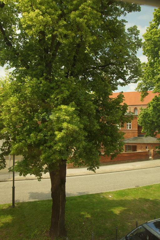 Fewo Auf Der Dominsel-Domlinden Brandenburg  Værelse billede